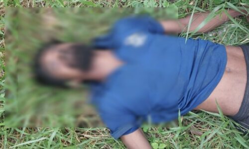 Screenshot 20250719 154352 kinemaster