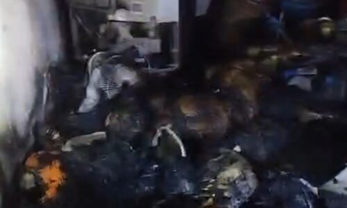 Screenshot 20251127 182802 Gallery